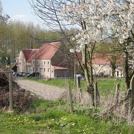 De Verborgen Parel B&B ボルフローン エクステリア 写真