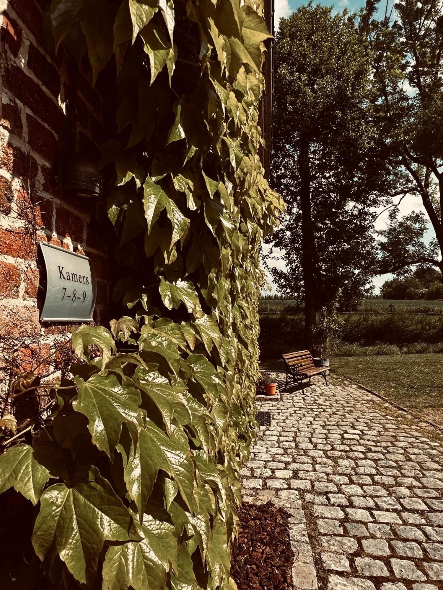 De Verborgen Parel B&B ボルフローン エクステリア 写真