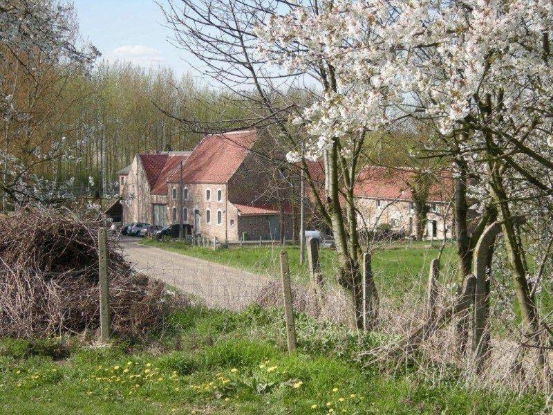De Verborgen Parel B&B ボルフローン エクステリア 写真
