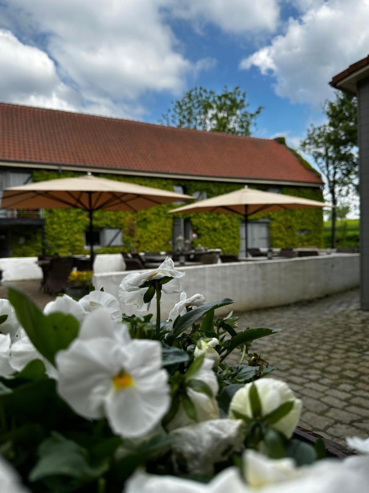 De Verborgen Parel B&B ボルフローン エクステリア 写真