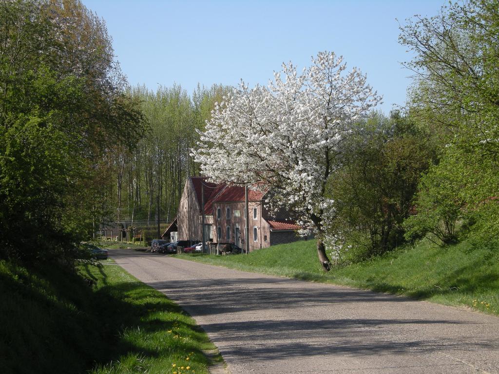 De Verborgen Parel B&B ボルフローン エクステリア 写真