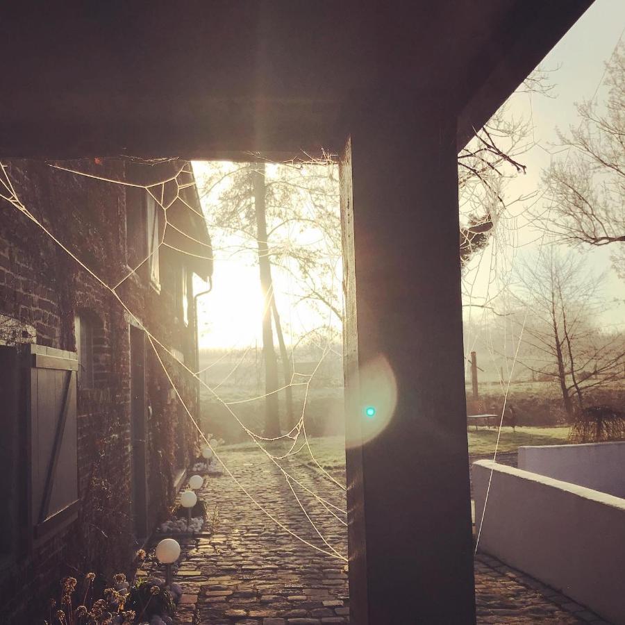 De Verborgen Parel B&B ボルフローン エクステリア 写真